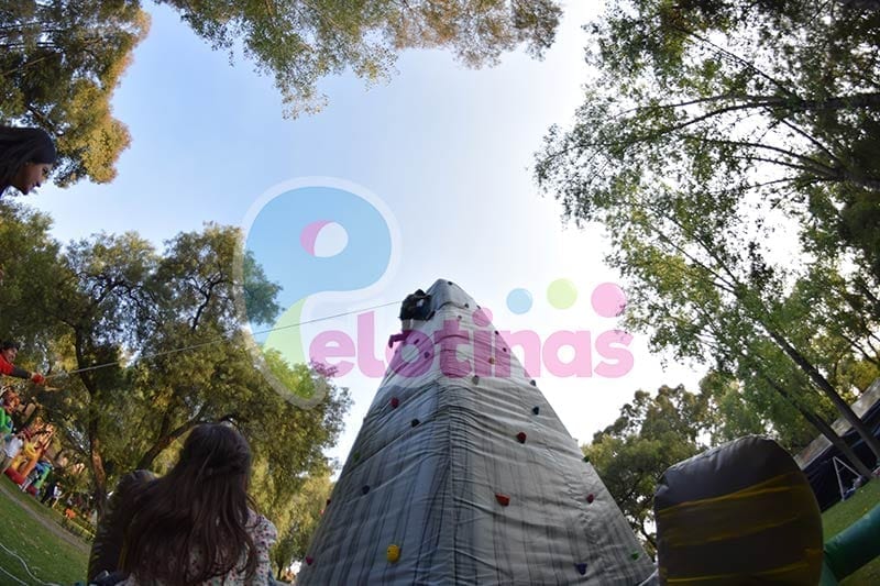 Muro de Escalar — renta de inflables en CDMX (foto 3)