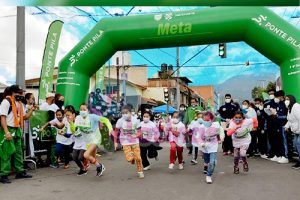 Arco-inflable-en-venta-verde