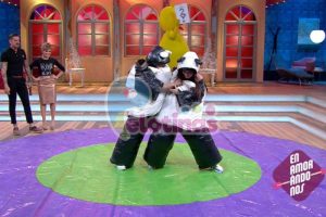 Renta-Trajes-de-Sumo-Panda-CDMX-8